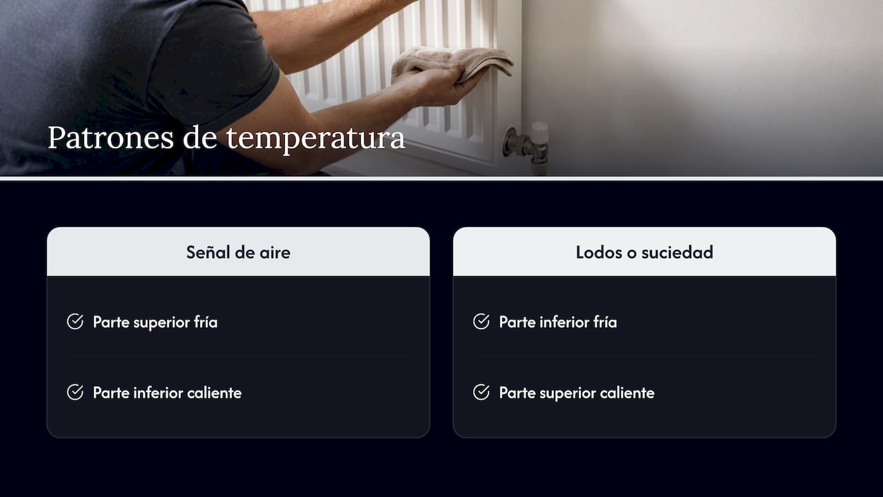 Comparación de síntomas térmicos en radiadores